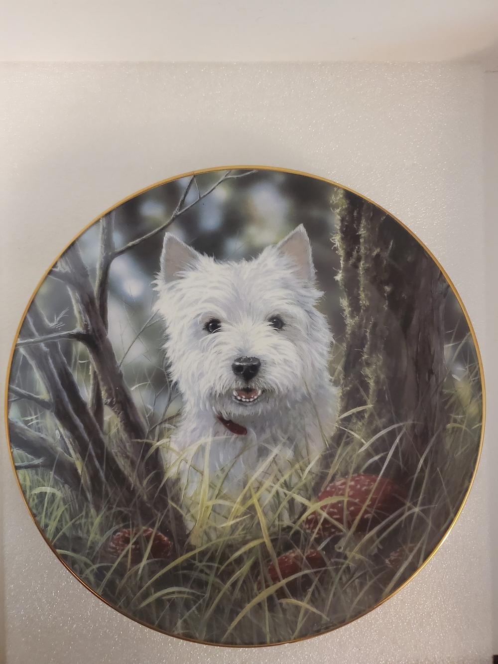 Westie Dog Wall Art Decorative Plate in White and Gold